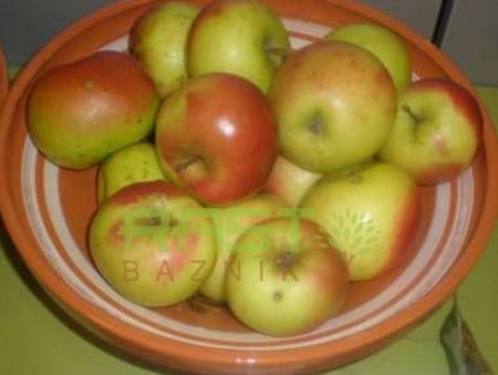 Ni vsako jabolko zdravo