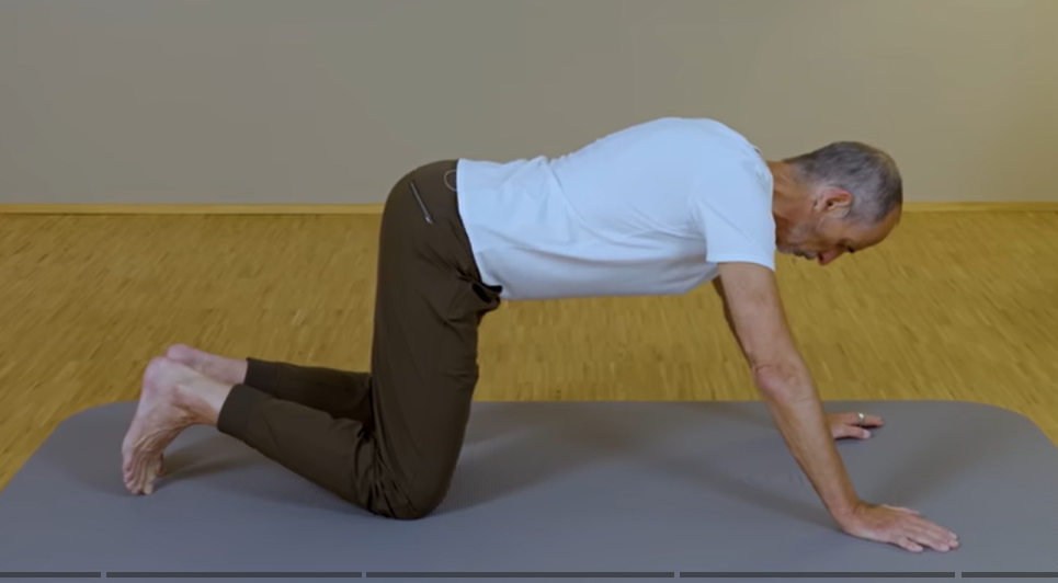 Bolečine hrbta in vaje pri herniji diska