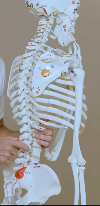 Bolečine hrbta in vaje pri herniji diska